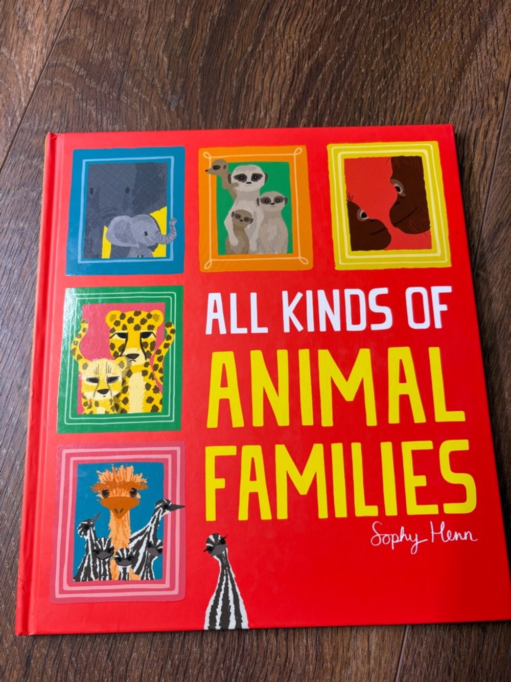 All Kinds of Animal Families by Sophy Henn - Red Cover